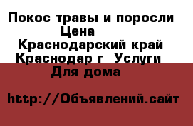 Покос травы и поросли  › Цена ­ 200 - Краснодарский край, Краснодар г. Услуги » Для дома   